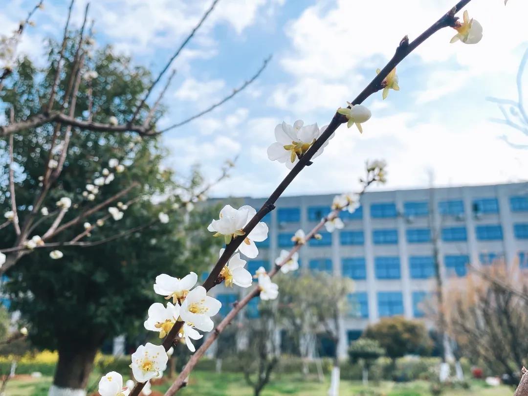 風(fēng)景這邊獨(dú)好！東大環(huán)境美景一覽，請(qǐng)查收